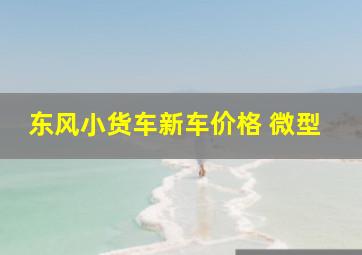 东风小货车新车价格 微型